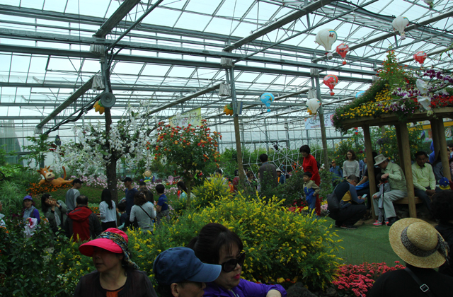Lễ hội bướm Hampyeong thu hút du khách nhí ảnh 2